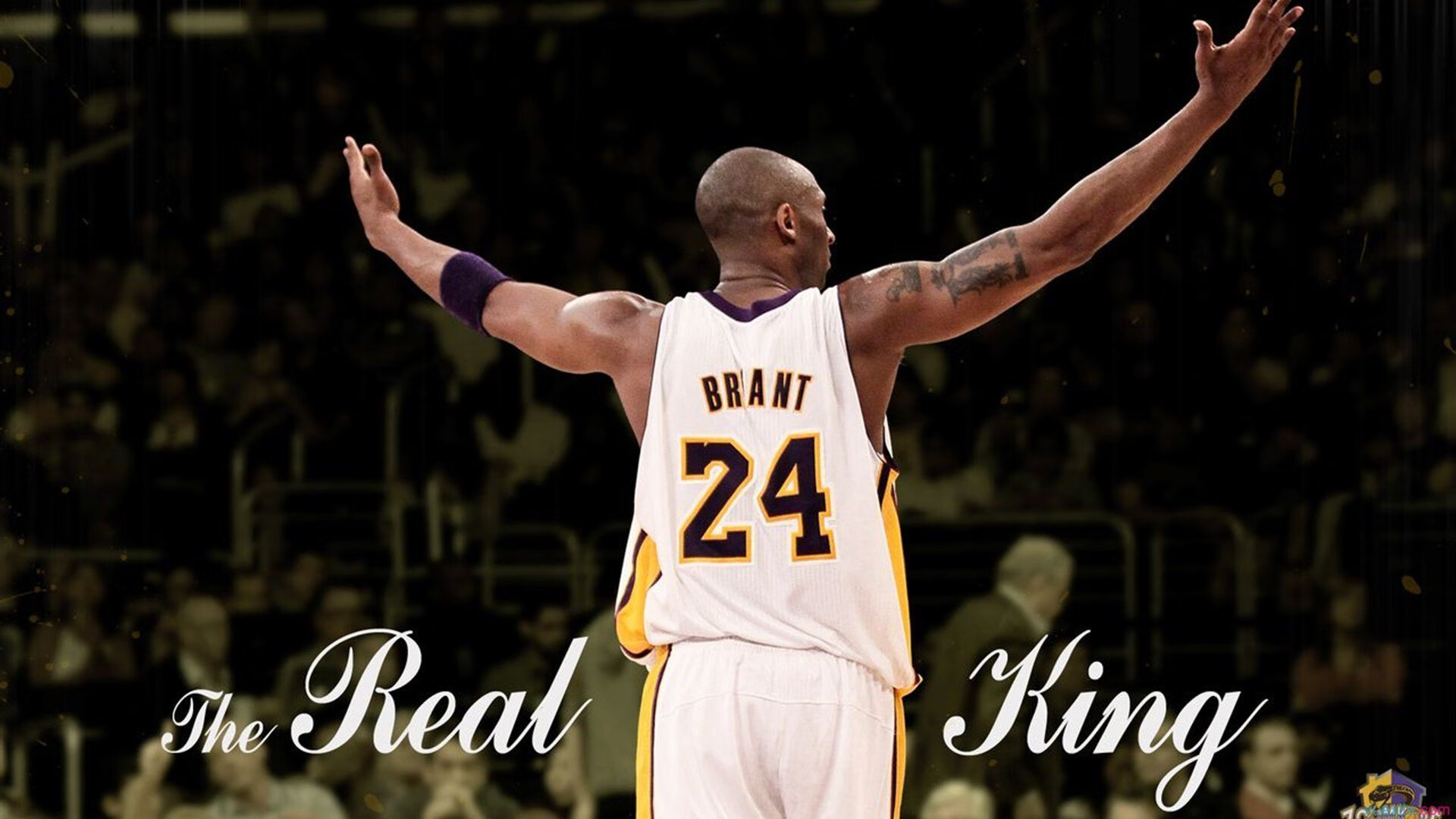 WTT巡回赛中国站赛程公布 顶级选手云集赛事看点满满，wtt中国赛2021